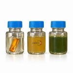 Bacteriological Test Vials